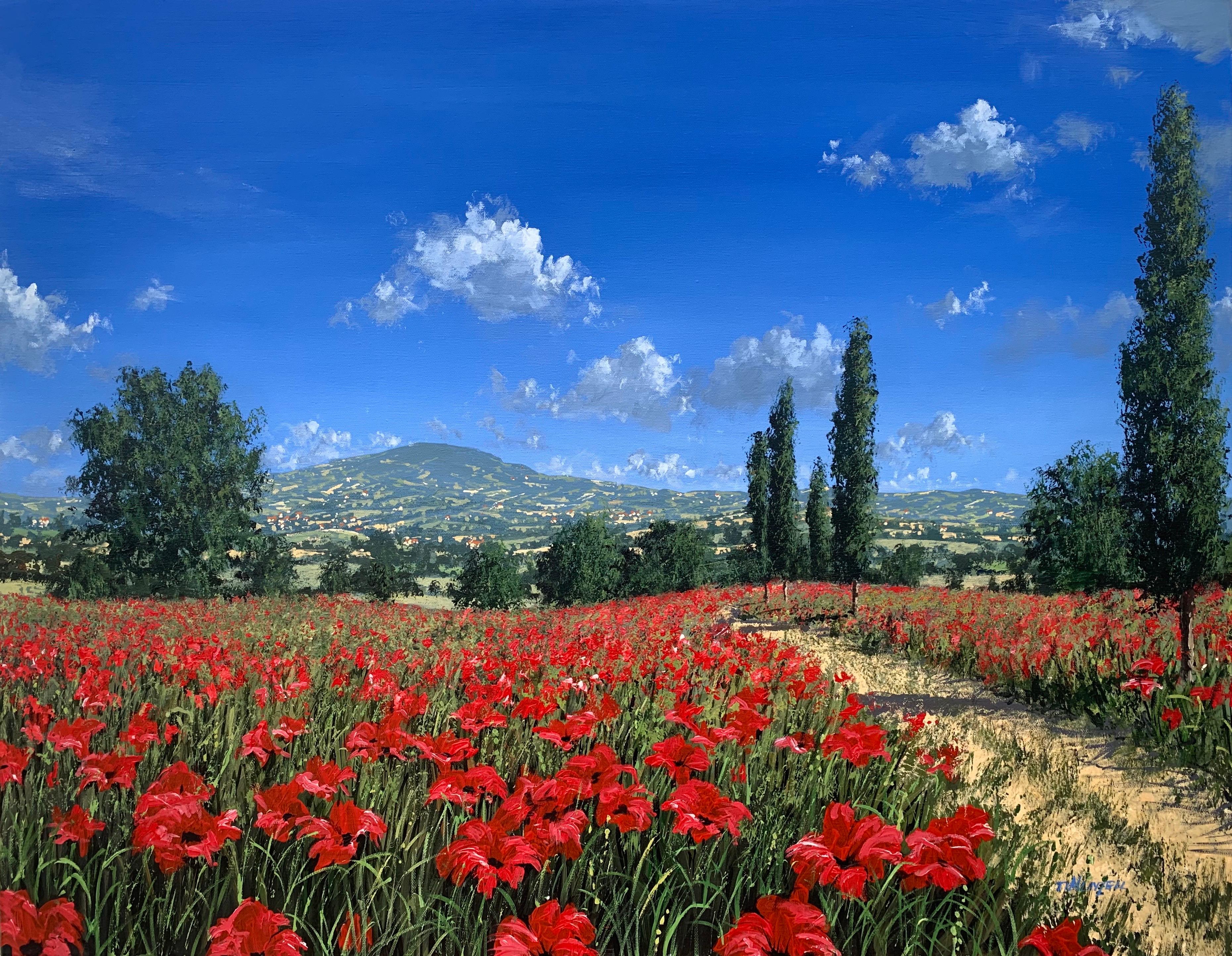 Tim Layzell Figurative Painting - Bright Red Poppy Field in the Sunshine in Europe by Contemporary British Artist