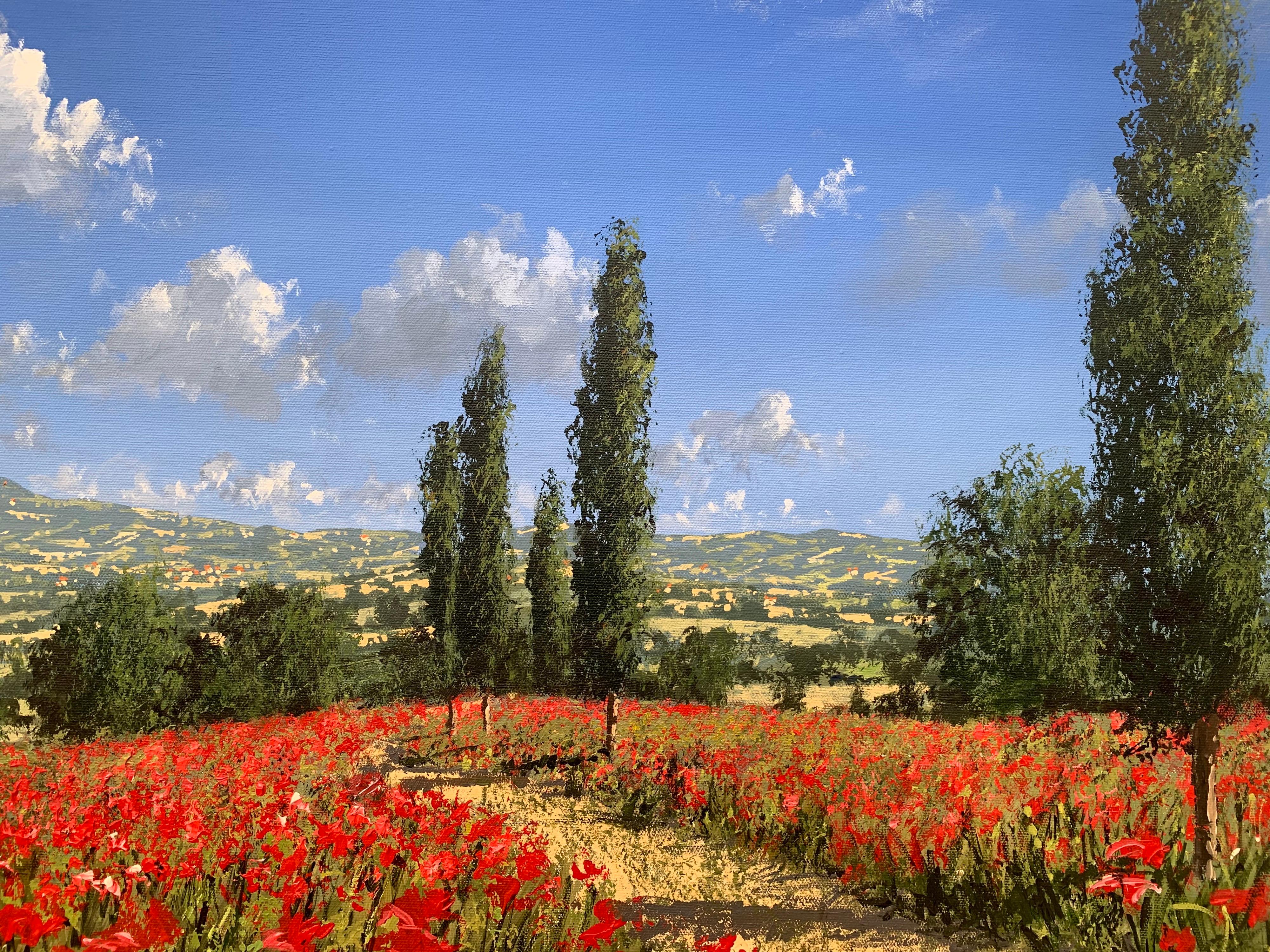Bright Red Poppy Field in the Sunshine in Europe by Contemporary British Artist - Blue Figurative Painting by Tim Layzell