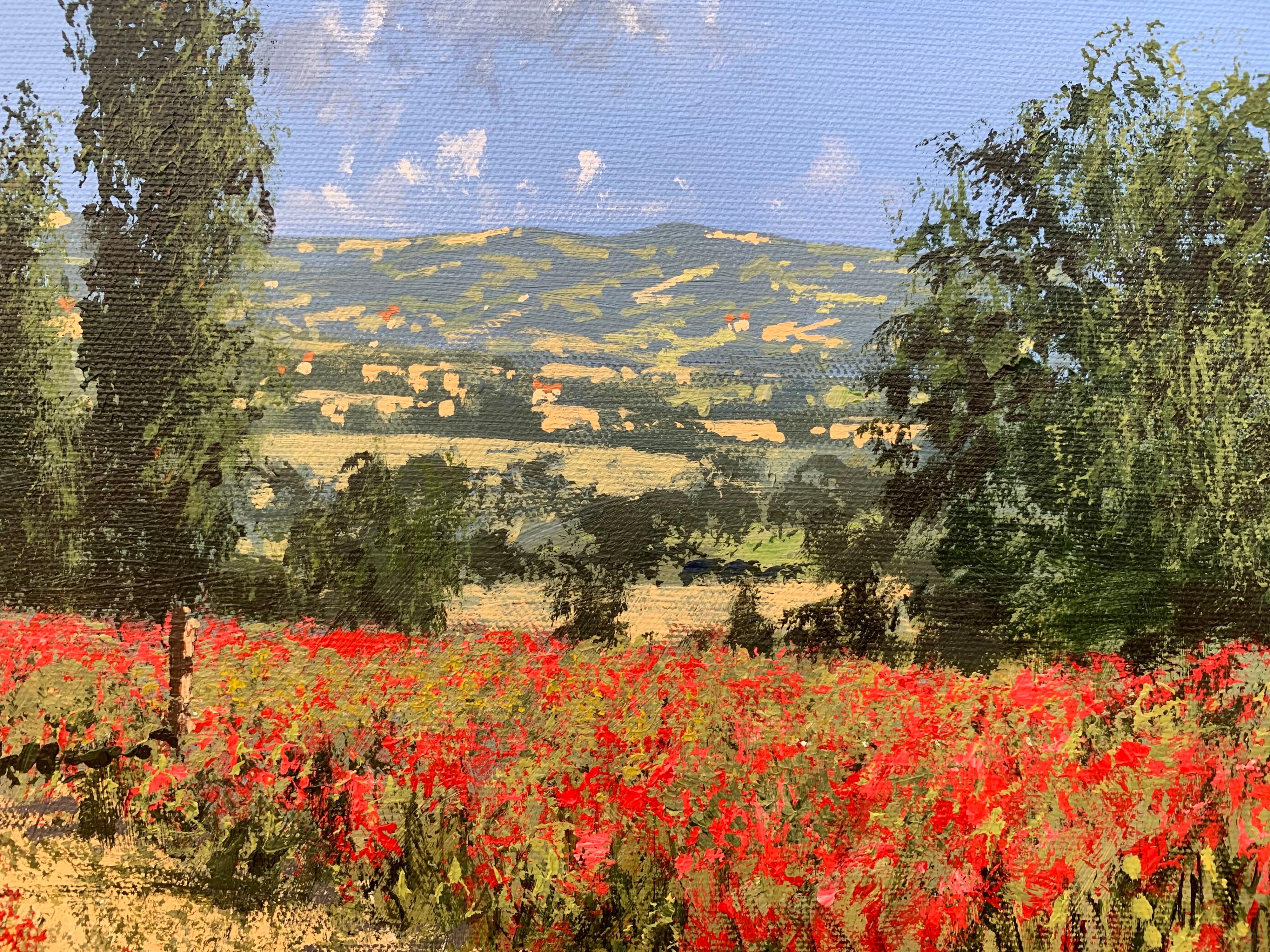 Bright Red Poppy Field in the Sunshine in Europe by Contemporary British Artist, Tim Layzell

Art measures 36 x 28 inches (box canvas)

Tim Layzell was born in 1981 and now lives and works in England. He has established himself as one of the world's