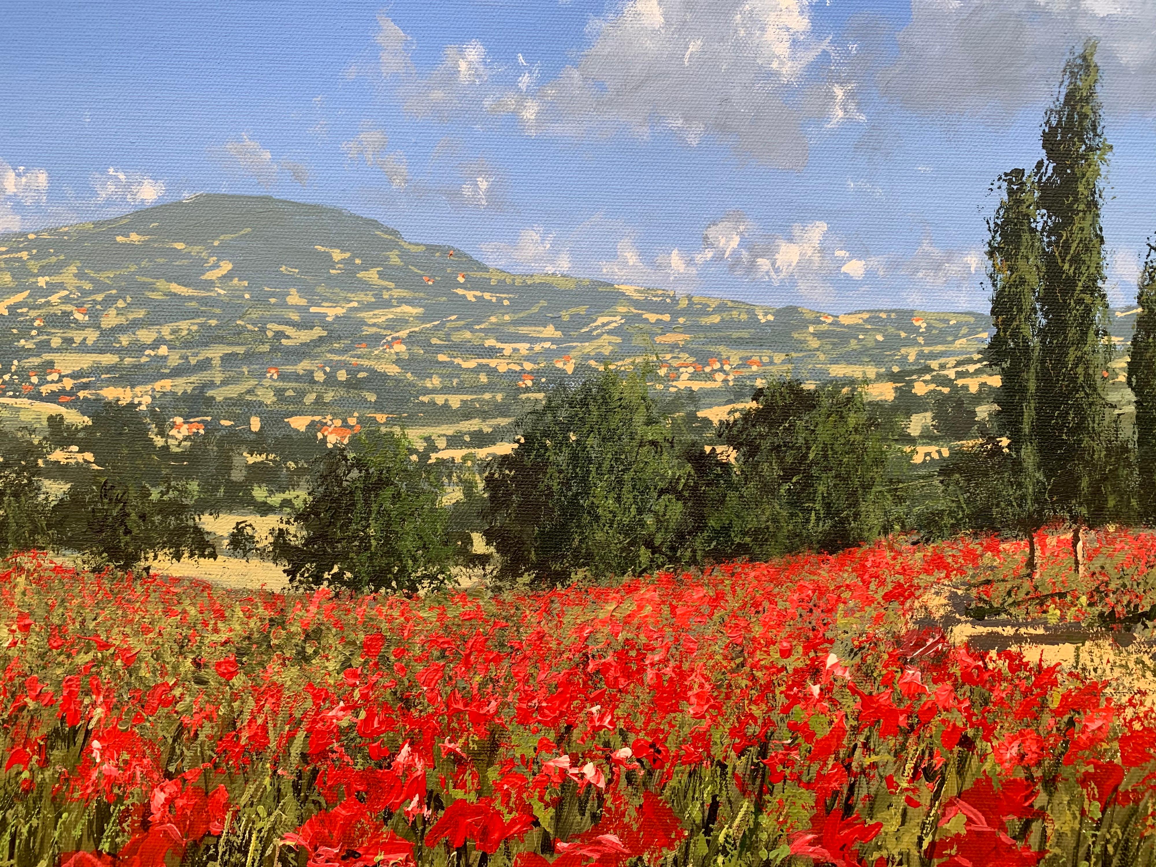 Bright Red Poppy Field in the Sunshine in Europe by Contemporary British Artist 2