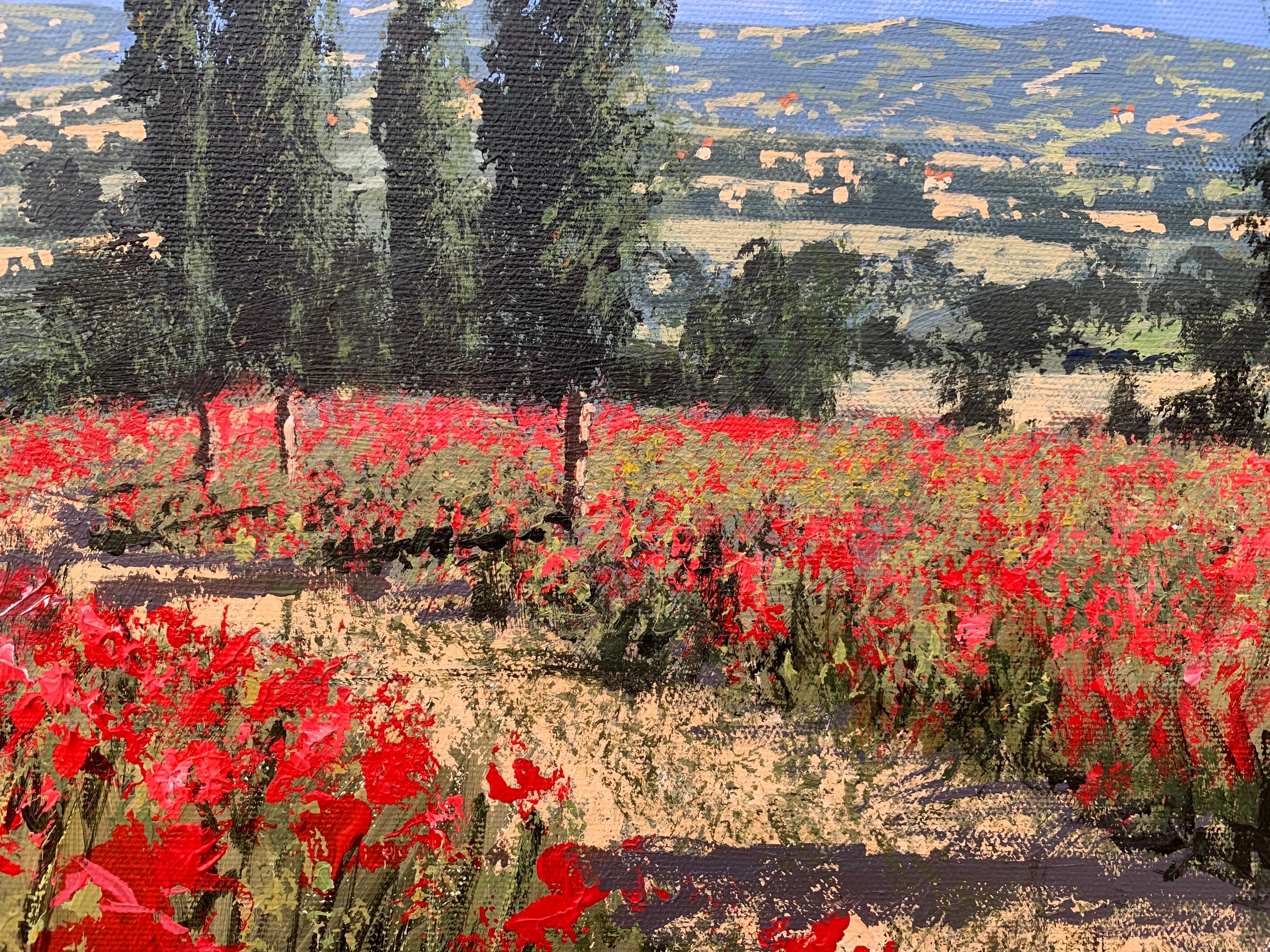 Bright Red Poppy Field in the Sunshine in Europe by Contemporary British Artist 3