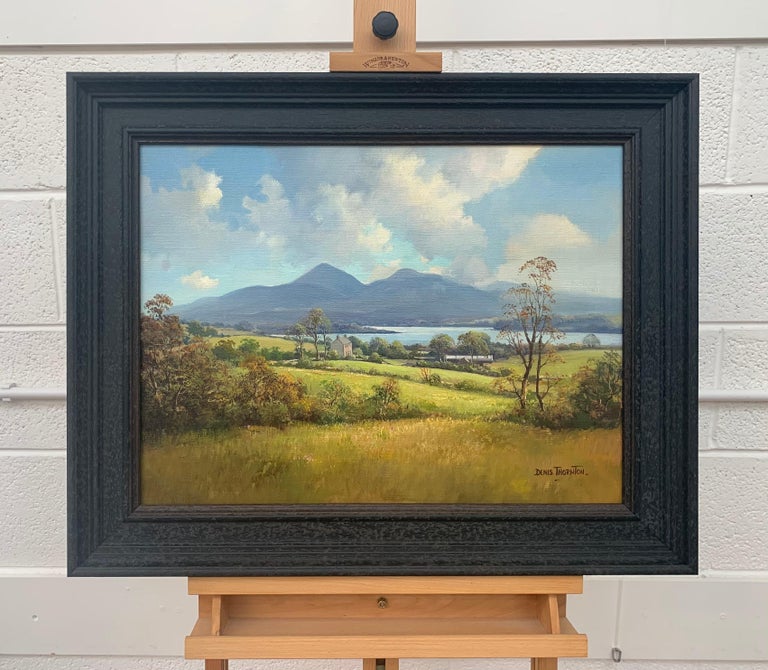 Oil Painting of The Mournes Mountains in Northern Ireland by Modern Irish Artist, Denis Thornton (1937-1999)

Art measures 24 x 18 inches
Frame measure 29 x 23 inches 

Denis Thornton was a very talented Post-War & Contemporary Realist Oil Painter,
