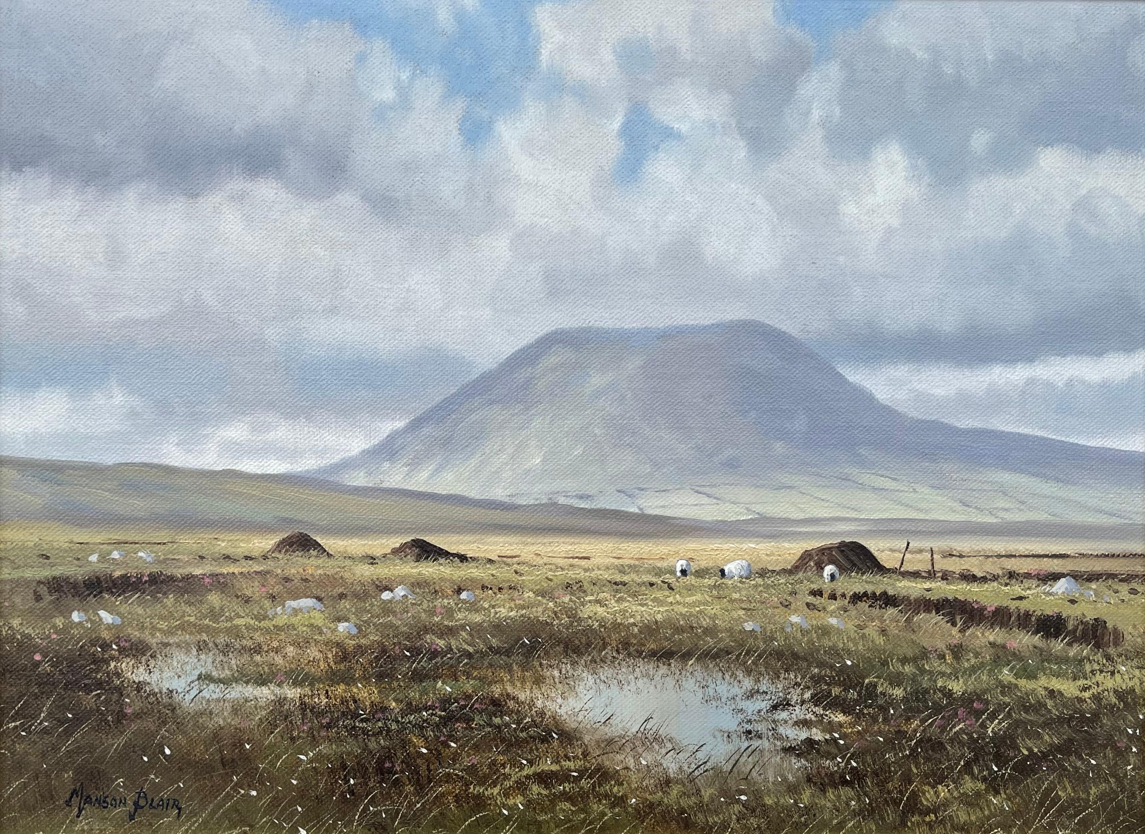 Original Oil Painting Slemish Mountain County Antrim Ireland by Irish Artist - Brown Figurative Painting by Manson Blair