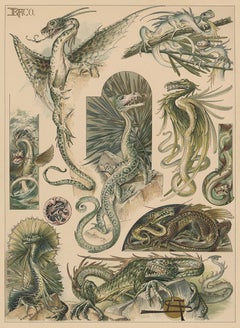 Antique Dragons - large "Draco" Art Nouveau lithograph in green by Anton Seder, 1896 