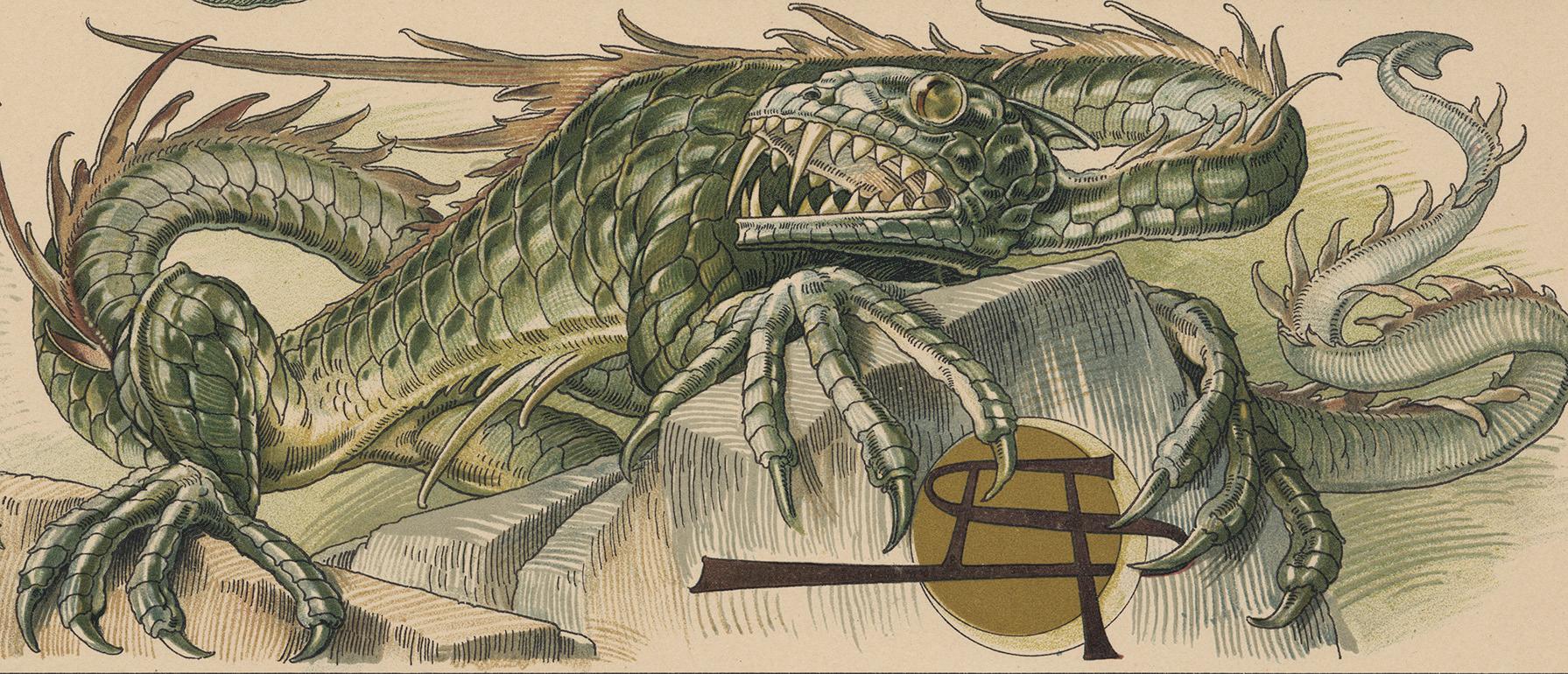 anton seder dragons