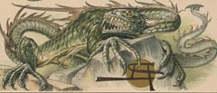 Dragons - large "Draco" Art Nouveau lithograph in green by Anton Seder, 1896