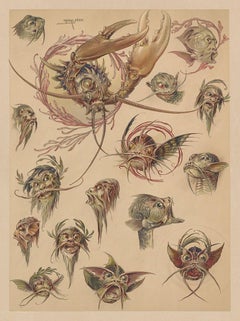 Psychedelic Sea creatures, Crabs - German Art Nouveau lithograph, 1896