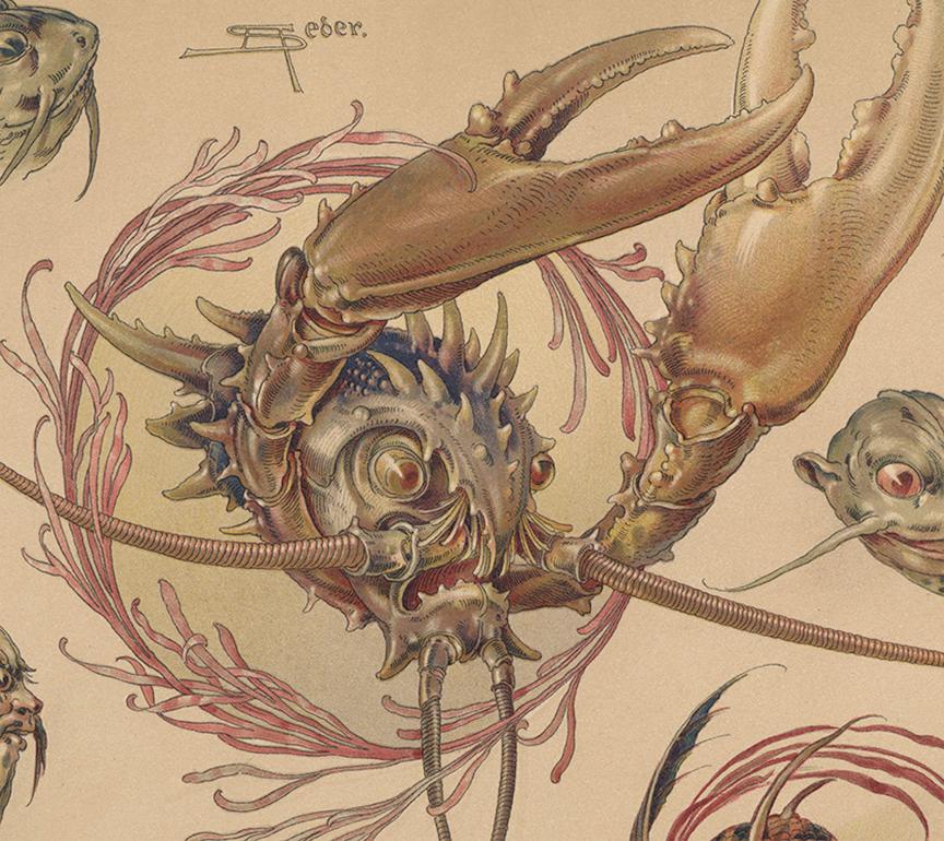 Psychedelic Sea creatures, Crabs - German Art Nouveau lithograph, 1896 - Print by Anton Seder