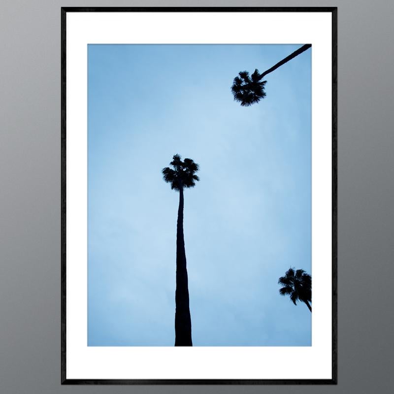 Venice Beach Blue Palmtrees - Photograph by Photo van Bolderick