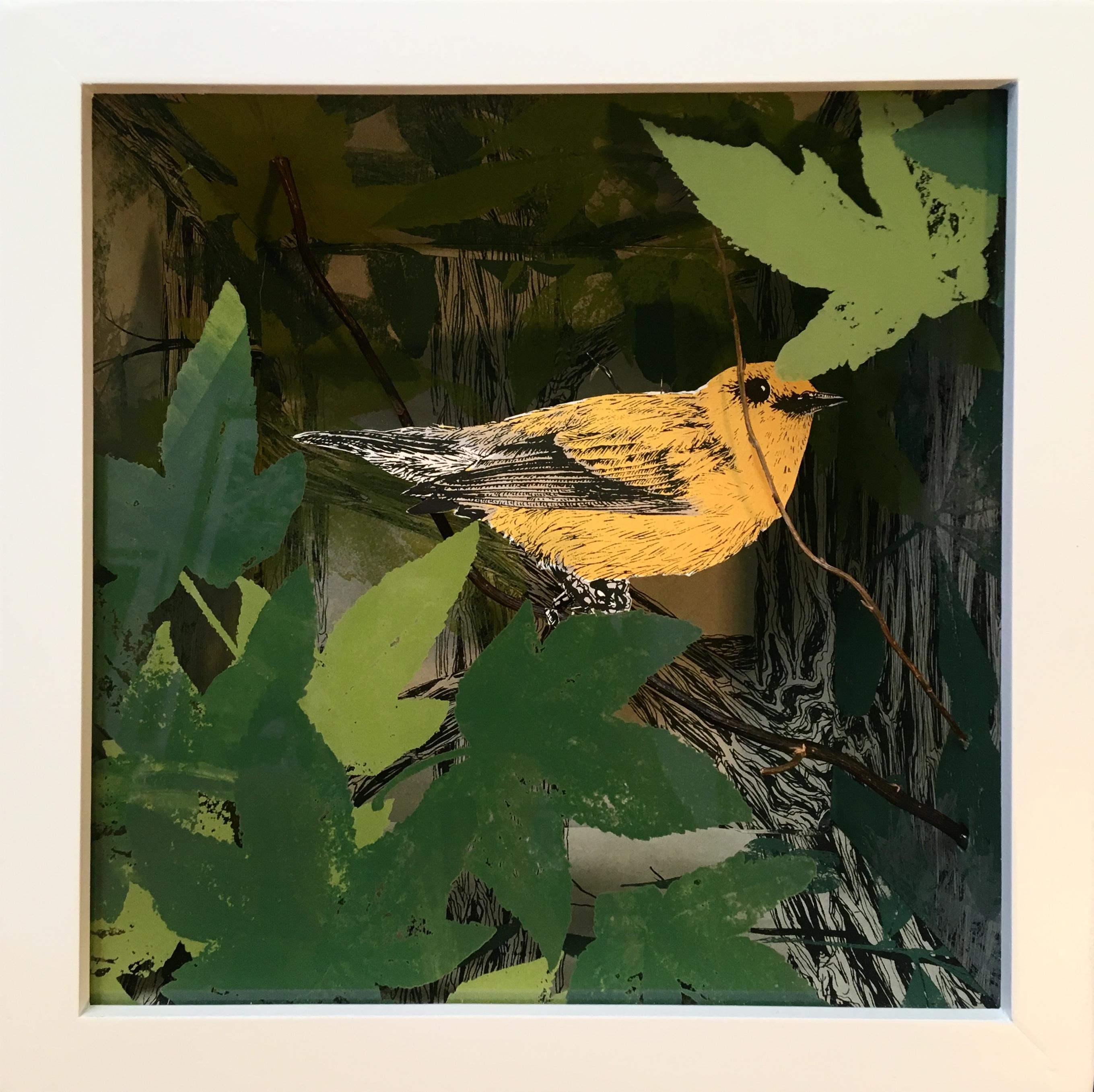"Prothonotary Warbler in Bottomland Forest" screenprint in shadow box, birds - Mixed Media Art by Pippin Frisbie-Calder