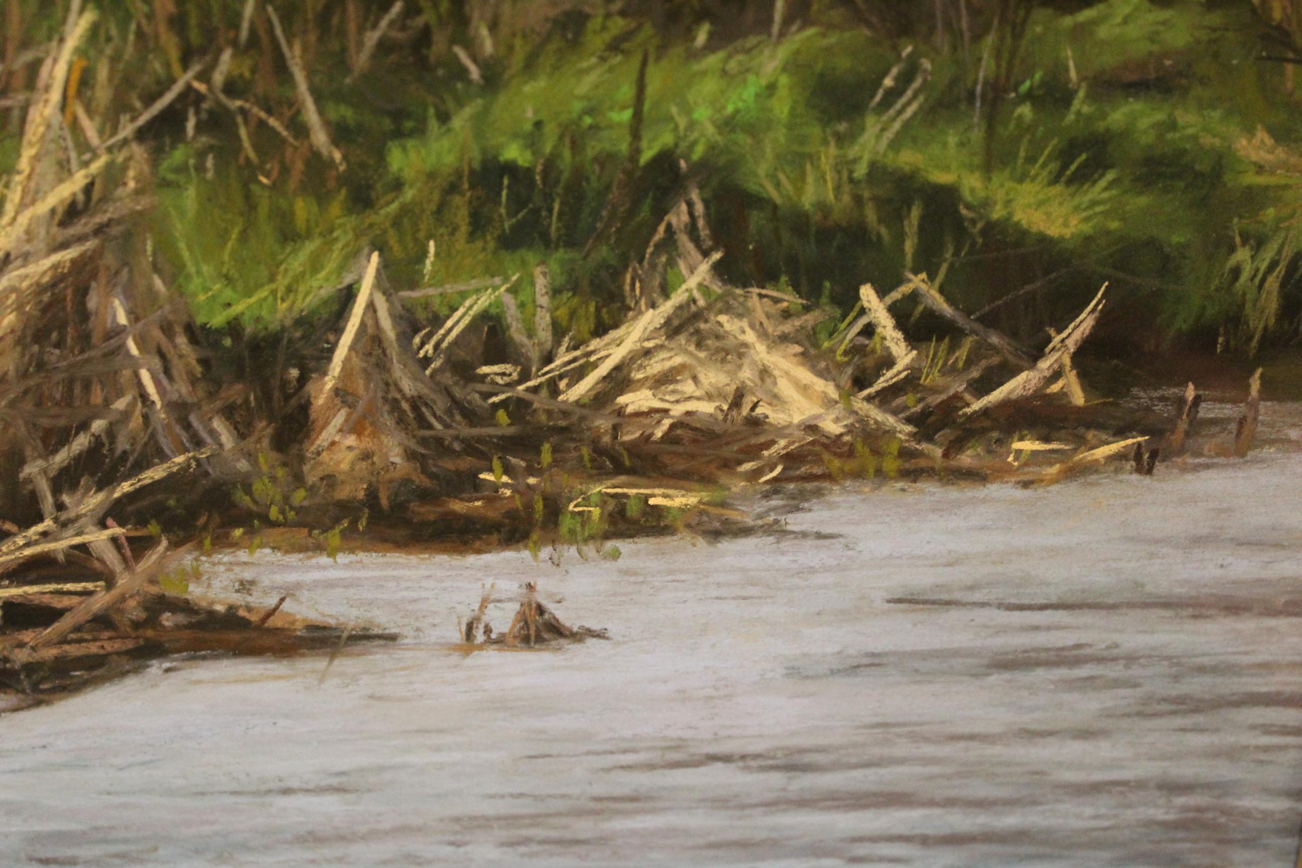 This is a drawing made using soft pastels done en plein air. The scenes are all Southern landscapes, particularly the swamps and bodies of water surrounding the greater New Orleans, LA area.