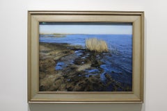 "Lake Pontchartain" soft pastel on paper, en plein air landscape, Louisiana