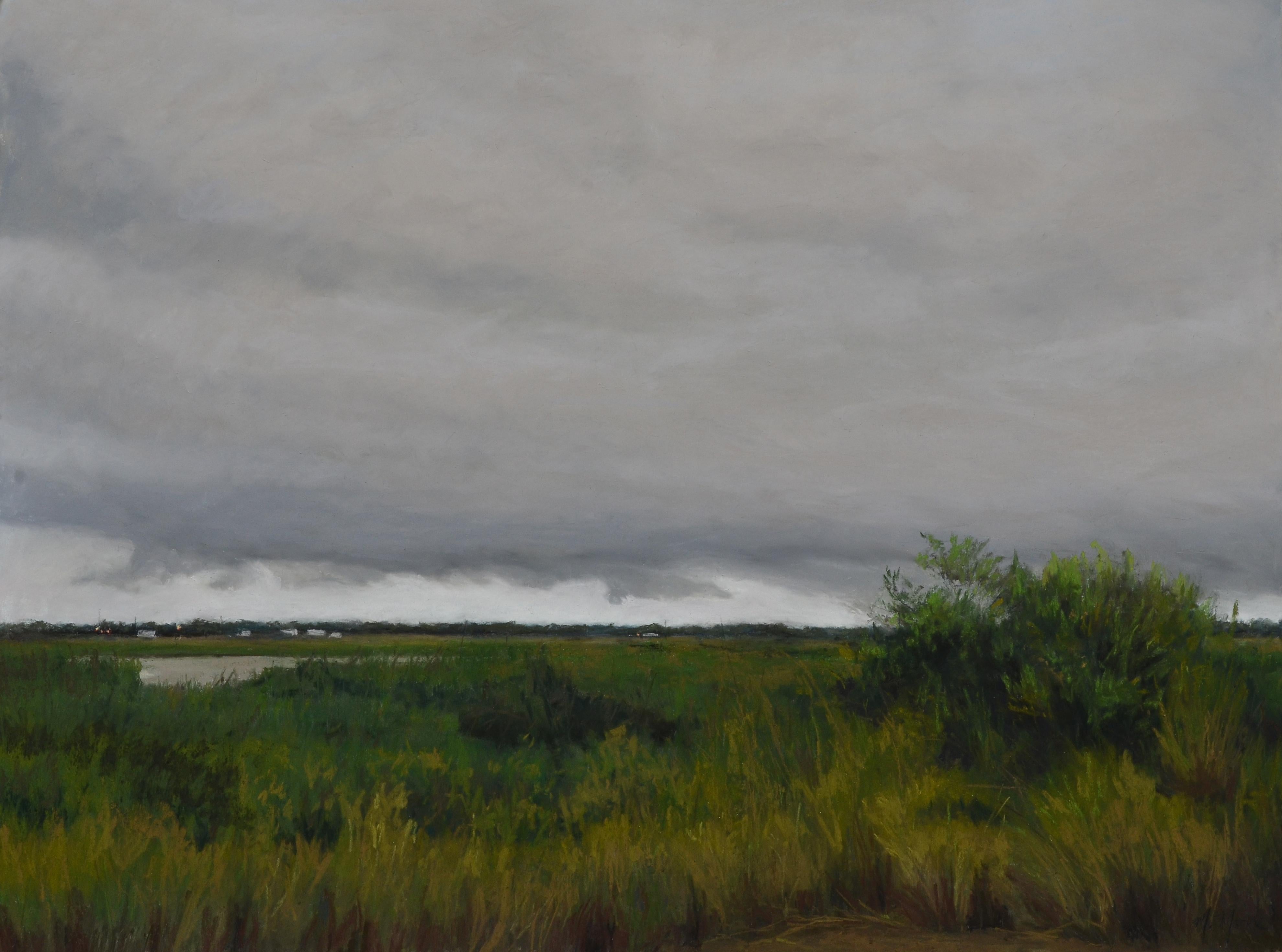 Mary Monk Landscape Art - "Dark and Stormy Marsh" original soft pastel on paper, en plein air landscape