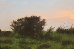 "Days End" soft pastel on paper, en plein air landscape, sunset over marshy land