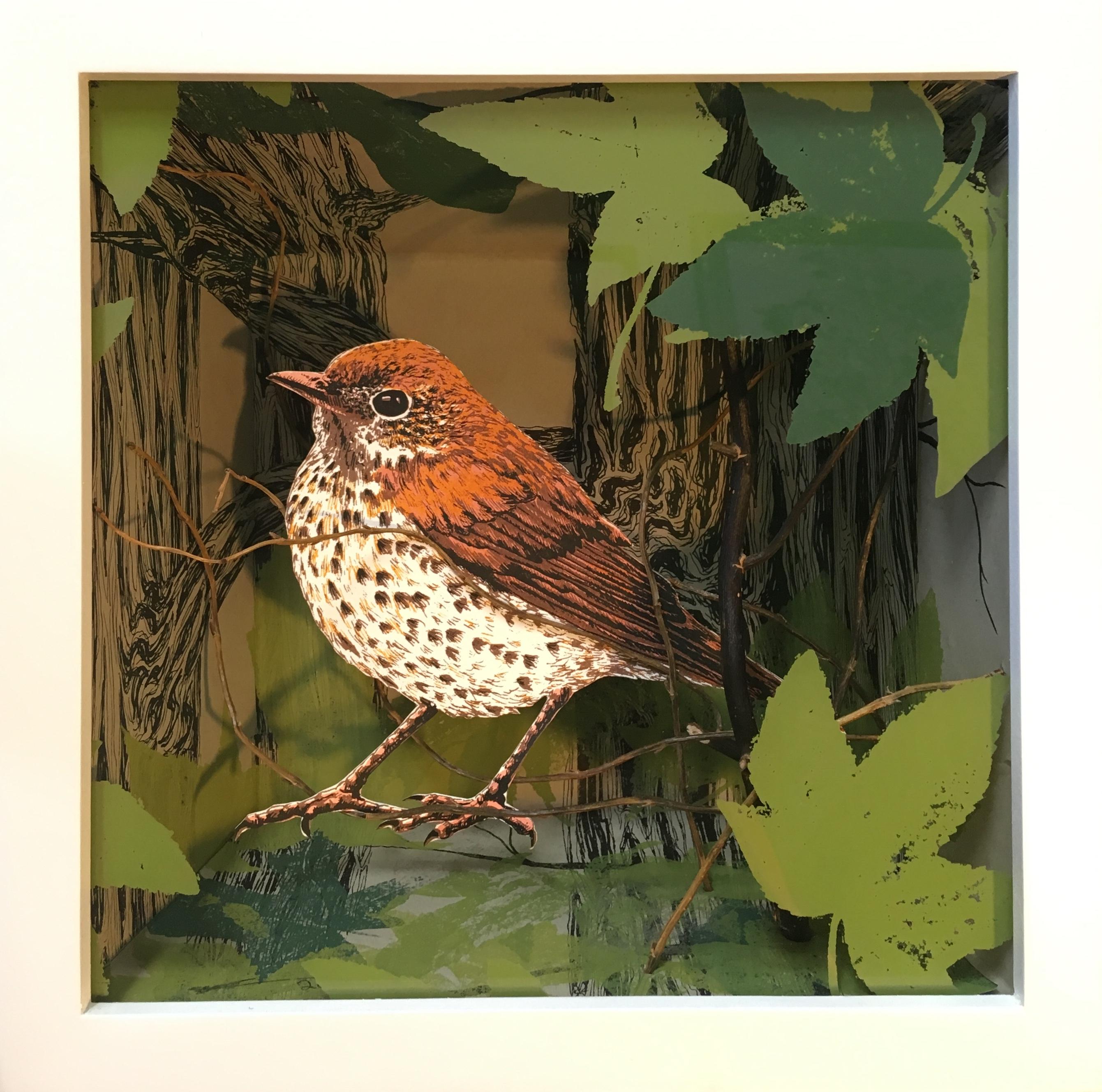 "Thrush in Bottomland Forest" screenprint in shadow box, birds, mixed media - Mixed Media Art by Pippin Frisbie-Calder