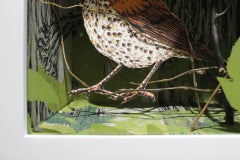"Thrush in Bottomland Forest" screenprint in shadow box, birds, mixed media