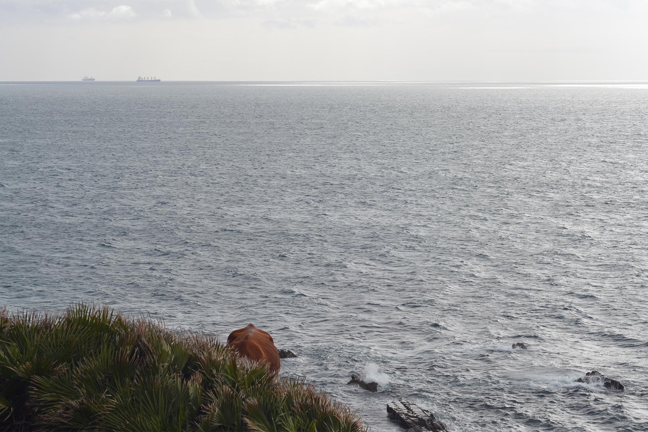 Jenny Owens: photograph: Tarifa Series For Sale 3