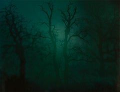 In Darkness Visible no.14 [Verse I] - chromogenic photograph by Nicholas Hughes