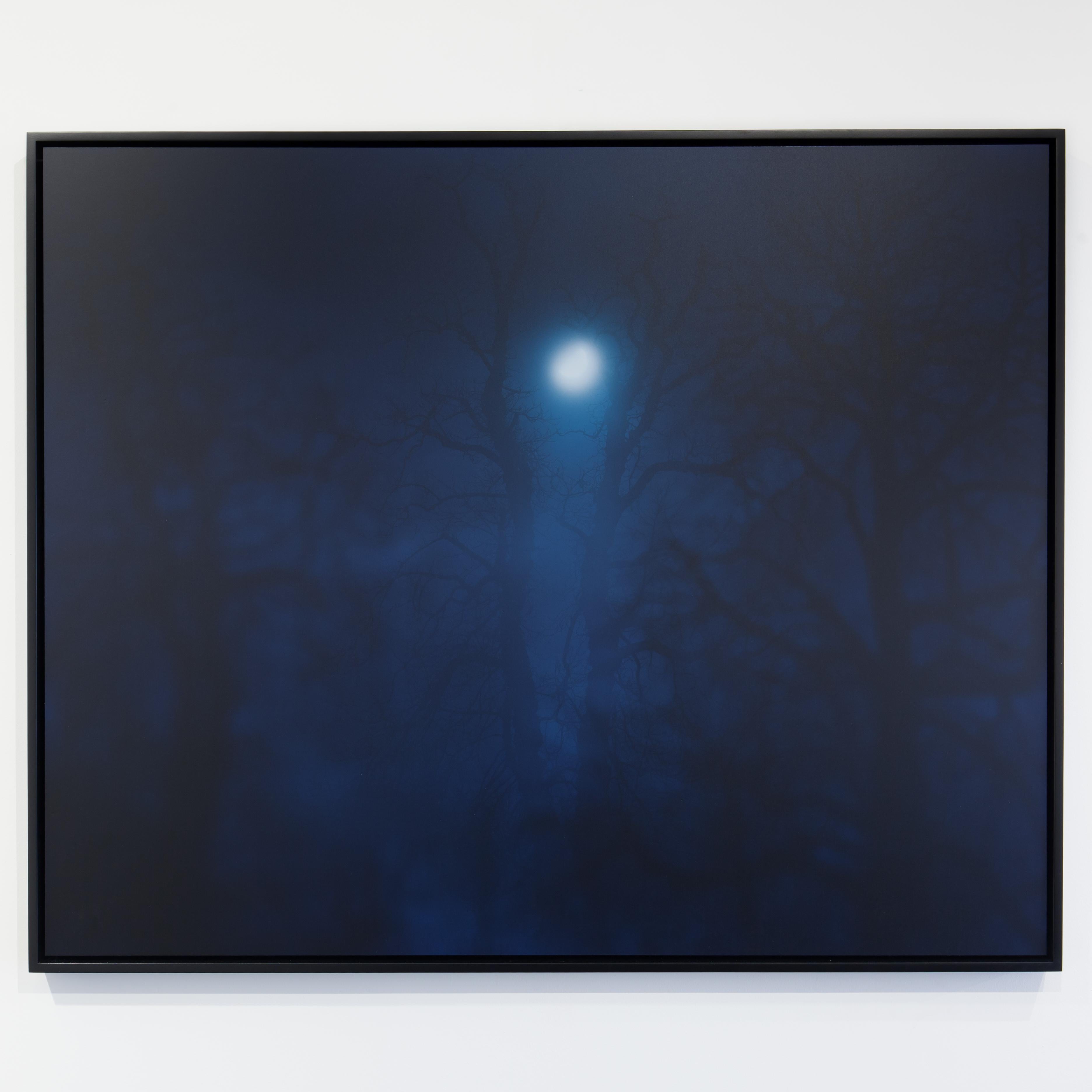 C-type print, 2017


Nicholas Hughes was born in Liverpool in 1963 and studied photography at the London College of Communication. From an early age, he was a passionate environmentalist. His understanding of how the natural world has suffered for