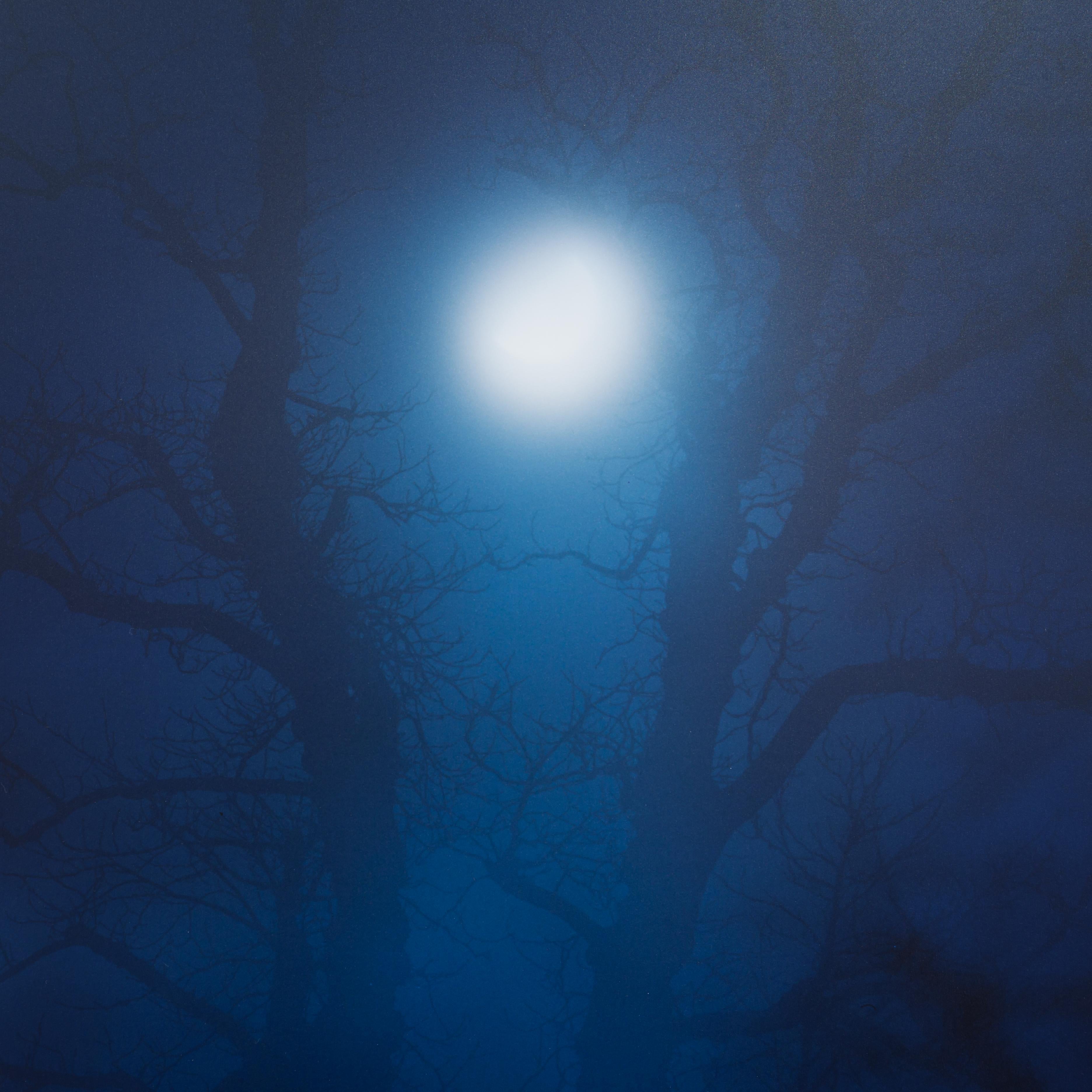 In Darkness Visible no.12 [Verse I] - landscape photograph by Nicholas Hughes For Sale 1