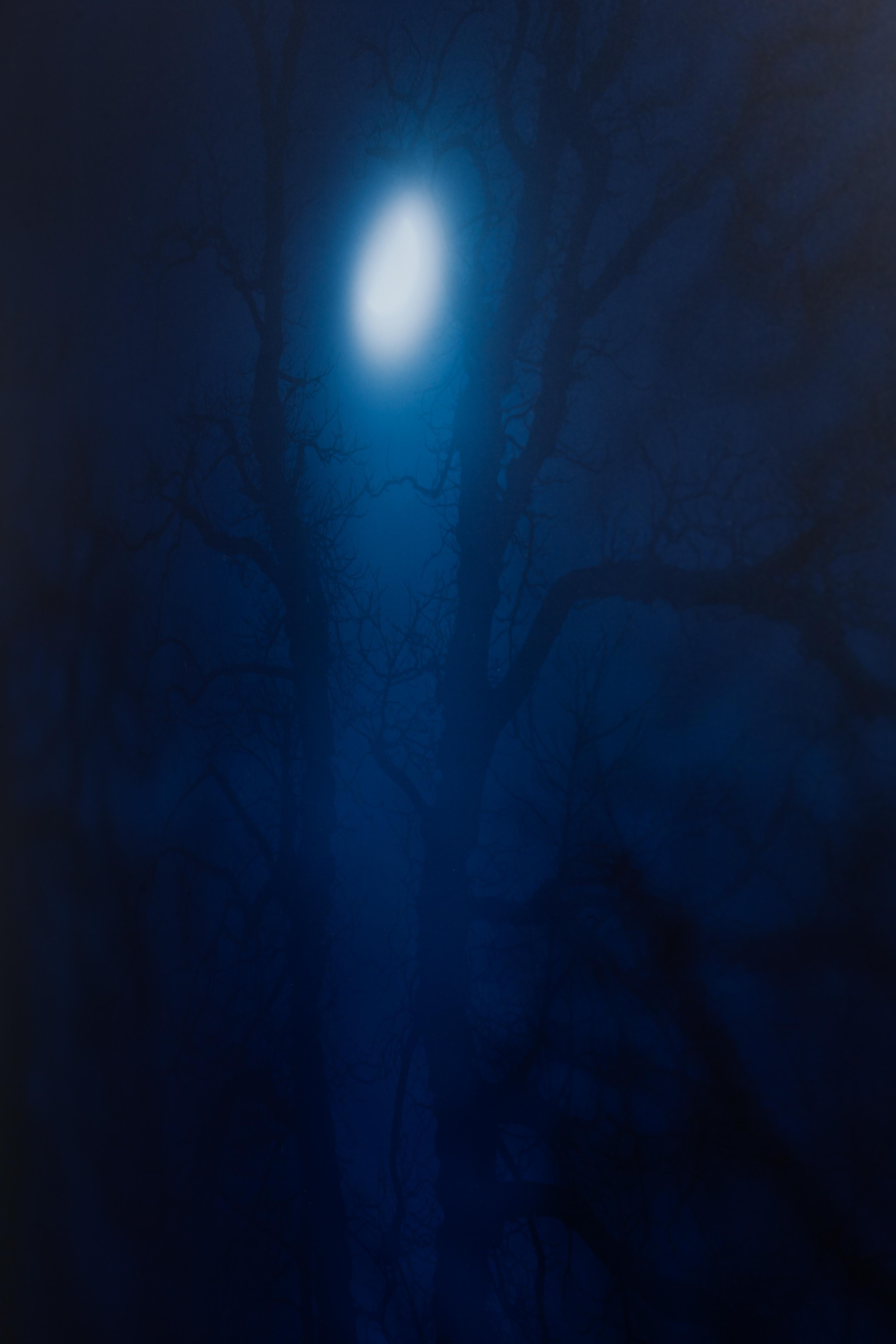 In Darkness Visible no.12 [Verse I] - landscape photograph by Nicholas Hughes For Sale 3