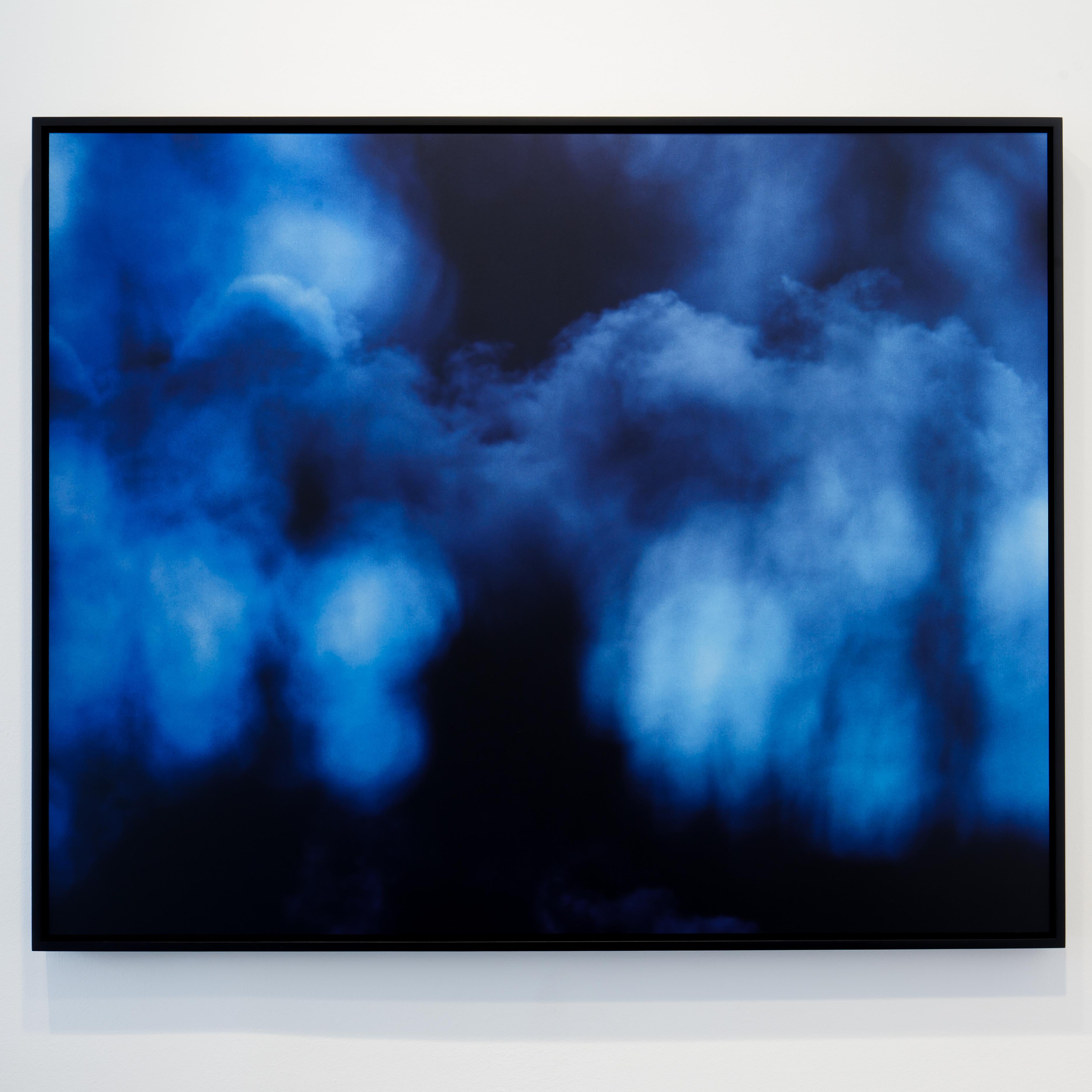C-type print, 2017


Nicholas Hughes was born in Liverpool in 1963 and studied photography at the London College of Communication. From an early age, he was a passionate environmentalist. His understanding of how the natural world has suffered for