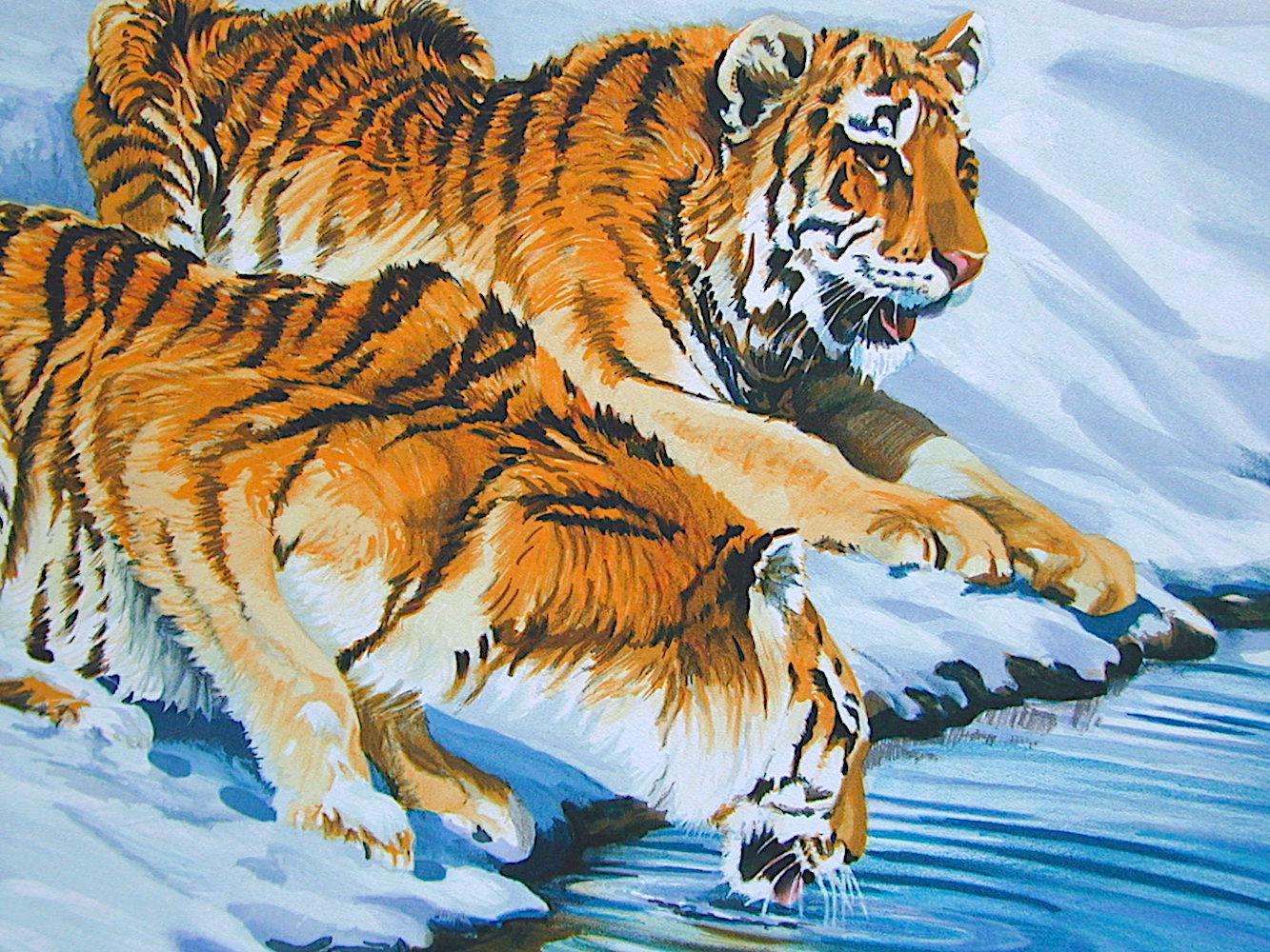 SIBERIAN TIGERS Hand Drawn Lithograph, Endangered Species, Tiger Portrait - Print by Sydney Taylor