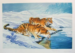 Vintage SIBERIAN TIGERS Hand Drawn Lithograph, Endangered Species, Tiger Portrait