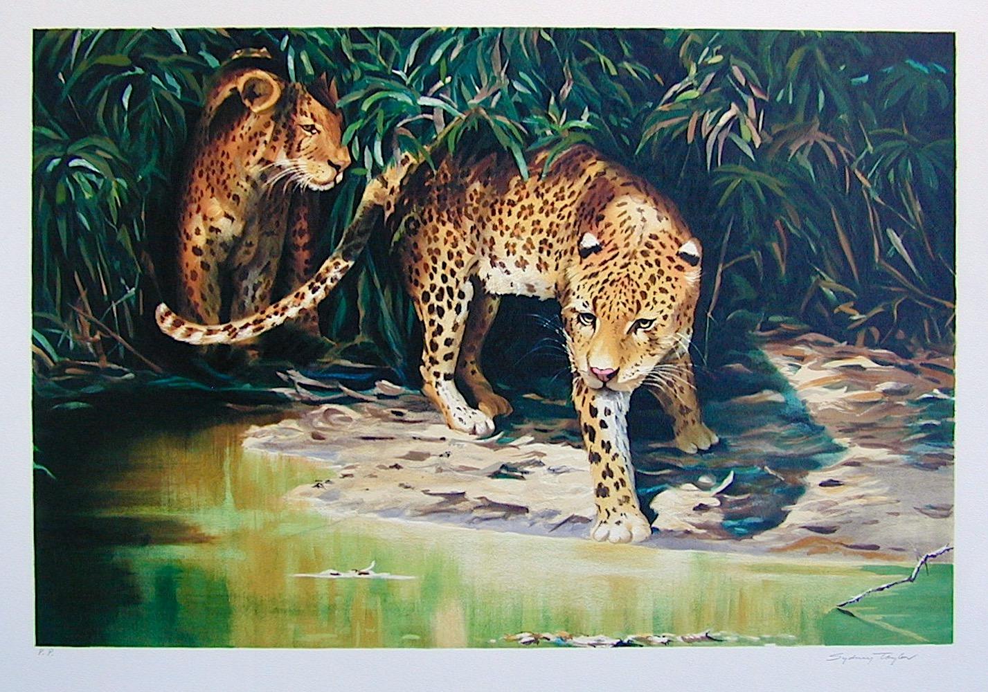 Sydney Taylor Animal Print - OUT OF THE SHADOWS Signed Lithograph, Leopard Portrait, Jungle Animals, Wildlife