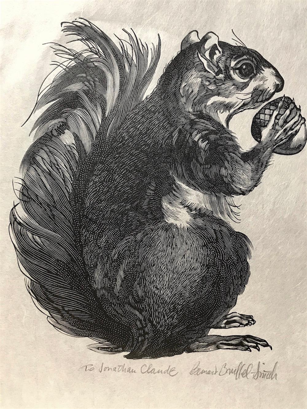 squirrel engraving