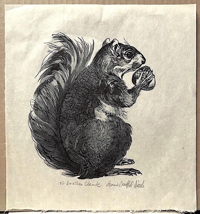 Bernard Brussel-Smith - SQUIRREL Signed Wood Engraving, Animal Portrait ...