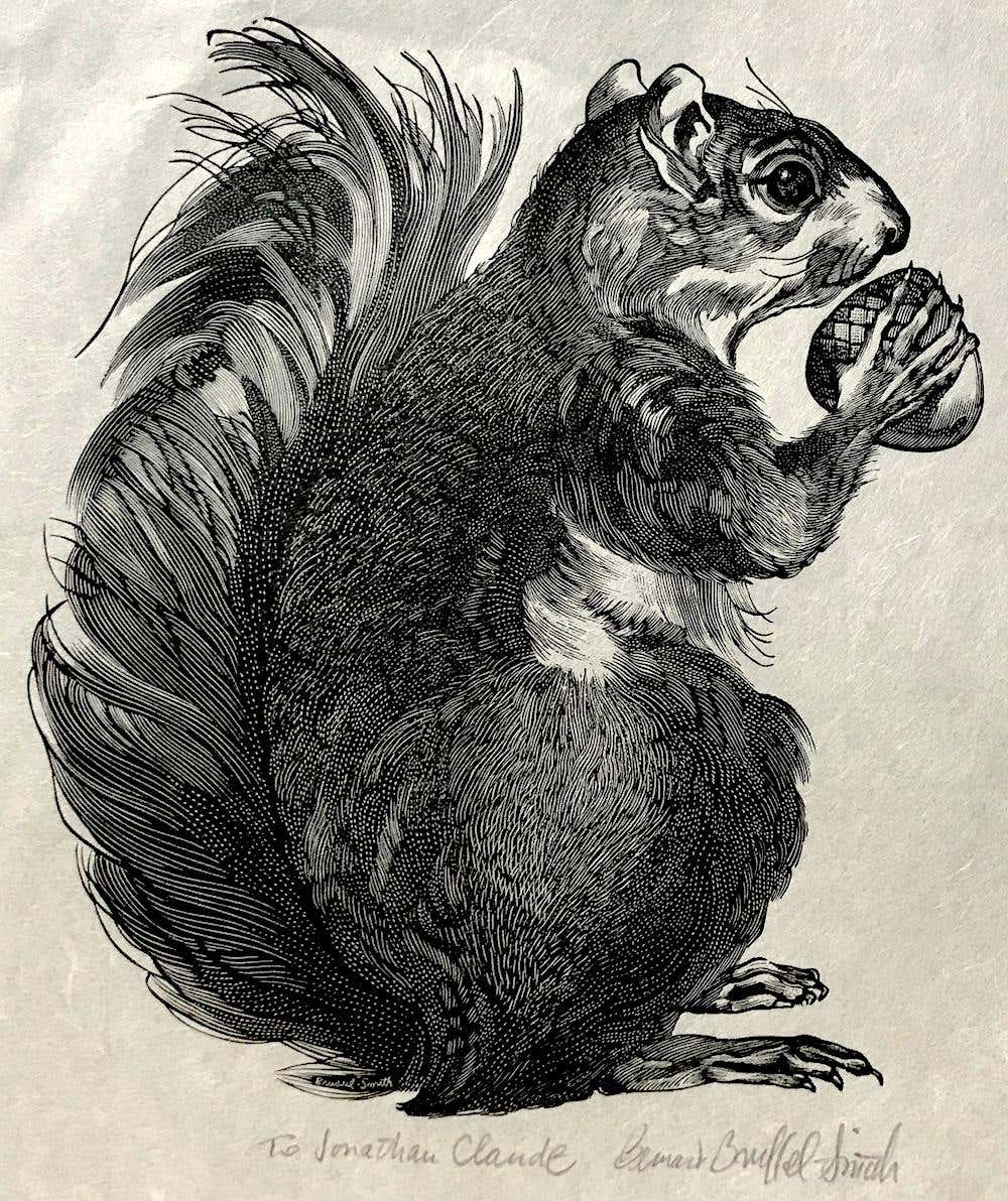 Bernard Brussel-Smith - SQUIRREL Signed Wood Engraving, Animal Portrait ...