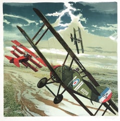 DARK SKIES Signed Lithograph WW I Fighter Aircraft, Air Combat, Aviation History