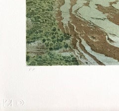 DARK SKIES Signed Lithograph WW I Fighter Aircraft, Air Combat, Aviation History