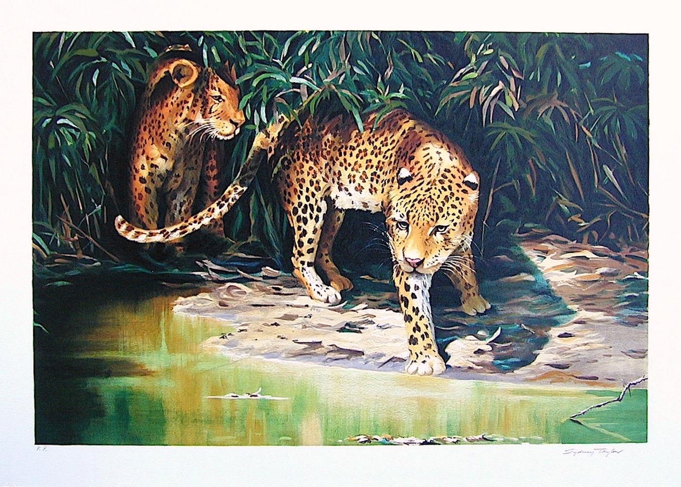OUT OF THE SHADOWS Signed Lithograph, Leopard Portrait, Wildlife Jungle - Print by Sydney Taylor