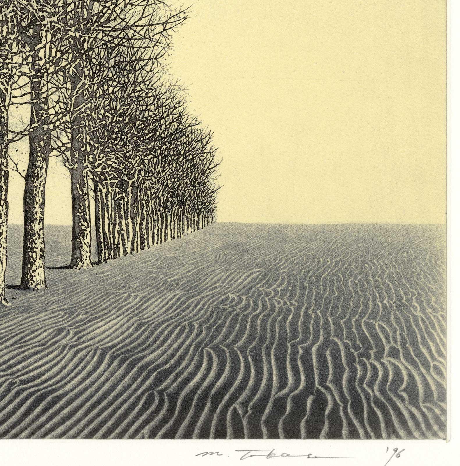 Spirit of the Woods XXXVII (A spiritual aura emanates from a serene landscape)  - Realist Print by Motohiko Takase