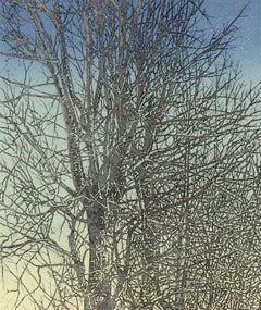 Spirit of the Woods XXXVII (A spiritual aura emanates from a serene landscape)