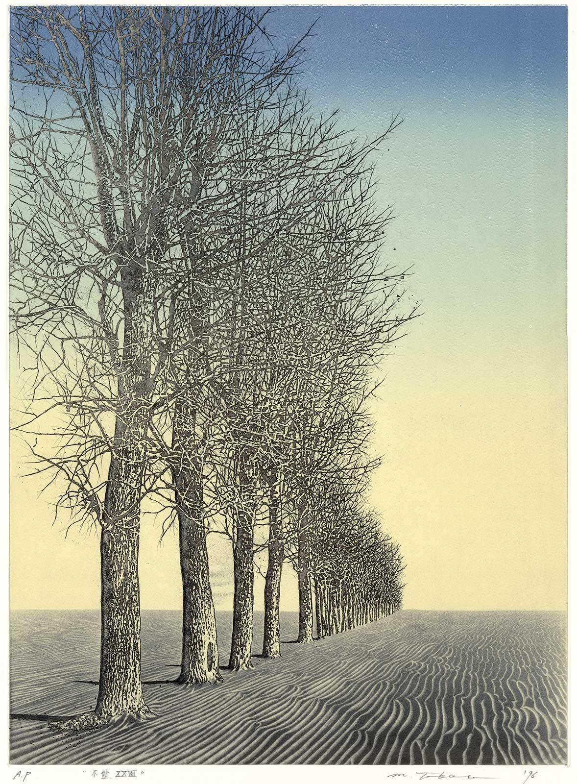 Spirit of the Woods XXXVII (A spiritual aura emanates from a serene landscape)  - Gray Print by Motohiko Takase