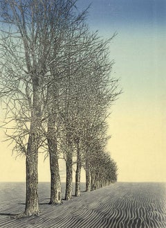 Spirit of the Wood XXXVII (Un'aura spirituale emana da un paesaggio sereno)