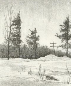 Leon's House (the warm home as a refuge on a cold day in upstate New York)