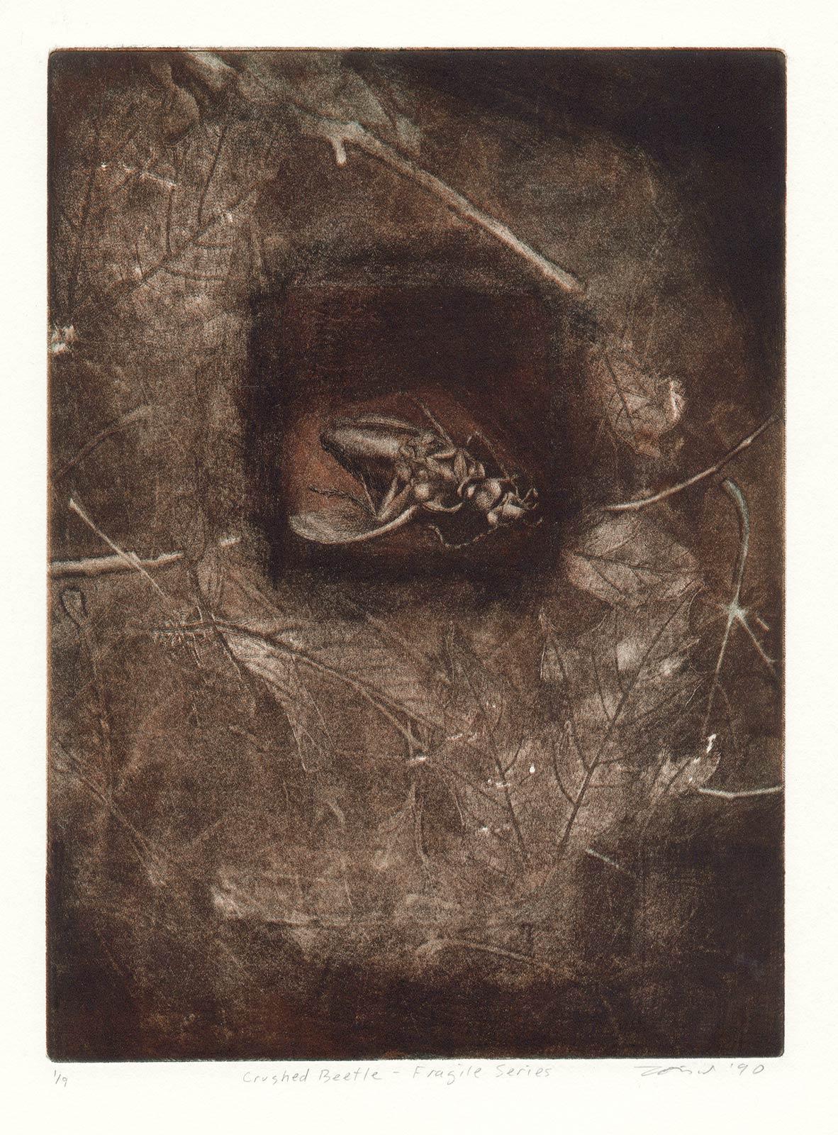 Crushed Beetle / Fragile-Serie (Schwarz), Landscape Print, von Lois Ward