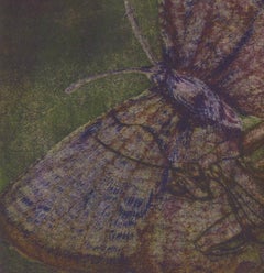 Sleep Deeply My Lady