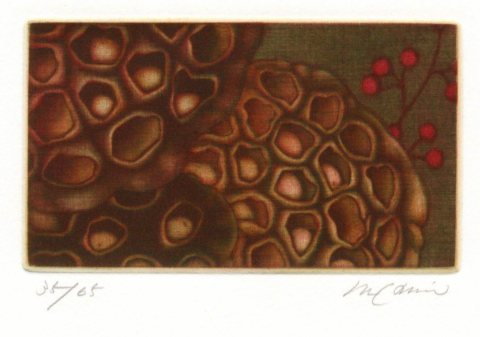 Lotus (Braun), Landscape Print, von Maki Hino