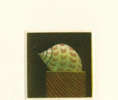 Small Shell Statue