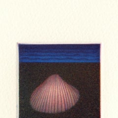 Pink Shell