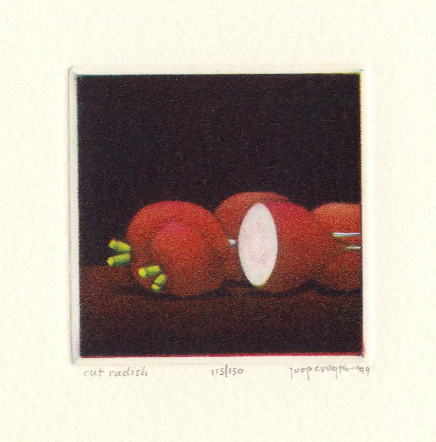 Joop Vegter Still-Life Print - Cut Radish