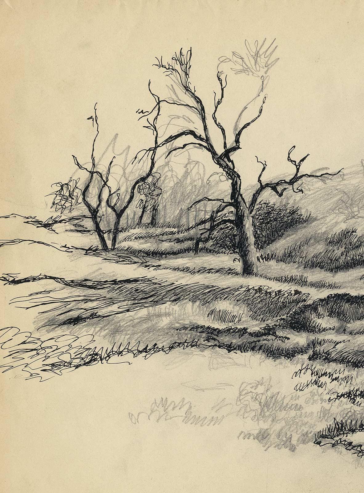 Three Trees (original pencil drawing of southern landscape) - Art by Jackson Lee Nesbitt