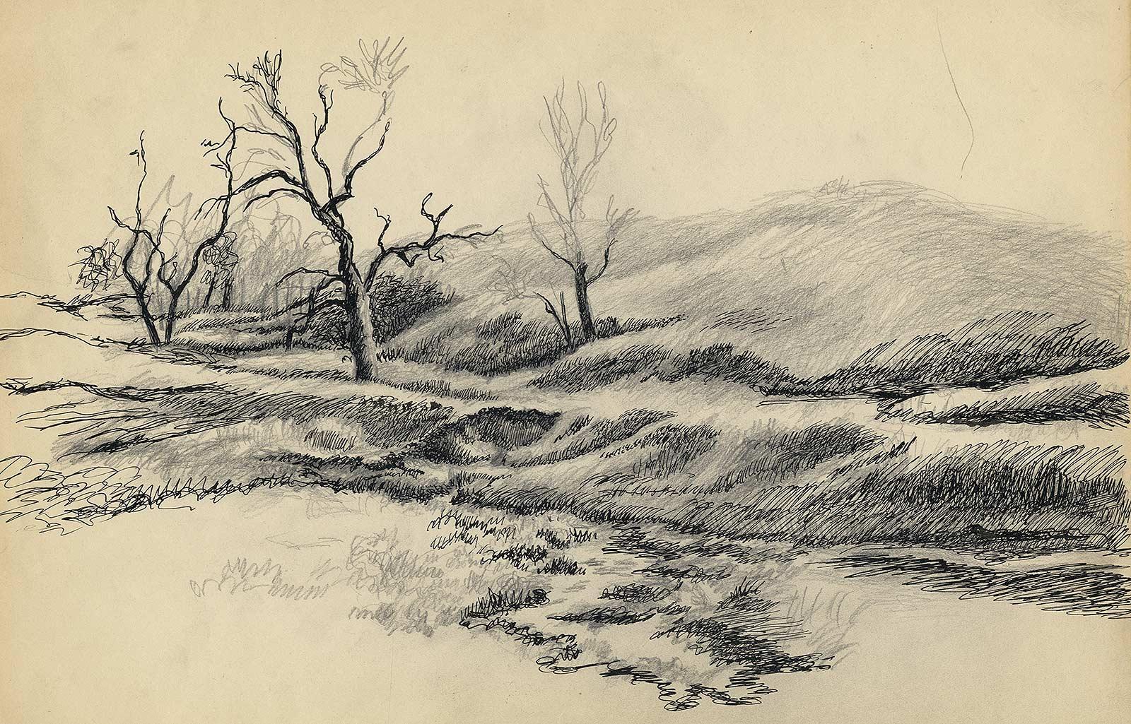 Jackson Lee Nesbitt Landscape Art - Three Trees (original pencil drawing of southern landscape)
