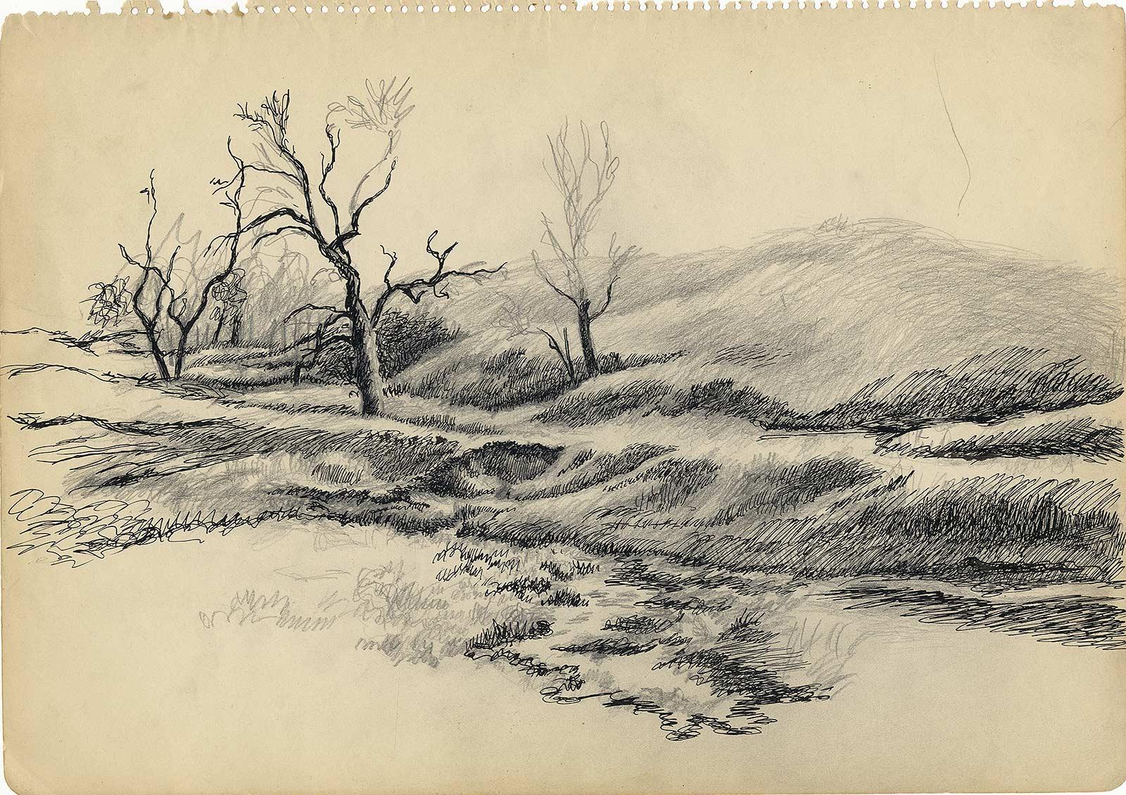 trees landscape drawing