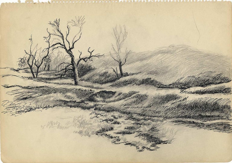 Original Pencil Drawing, Nesbit S Landscape Supply Butler Pa